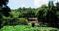 長沙出發(fā)到花明樓、韶山、張家界國家森林公園、天門仙山國家森林公園四日游